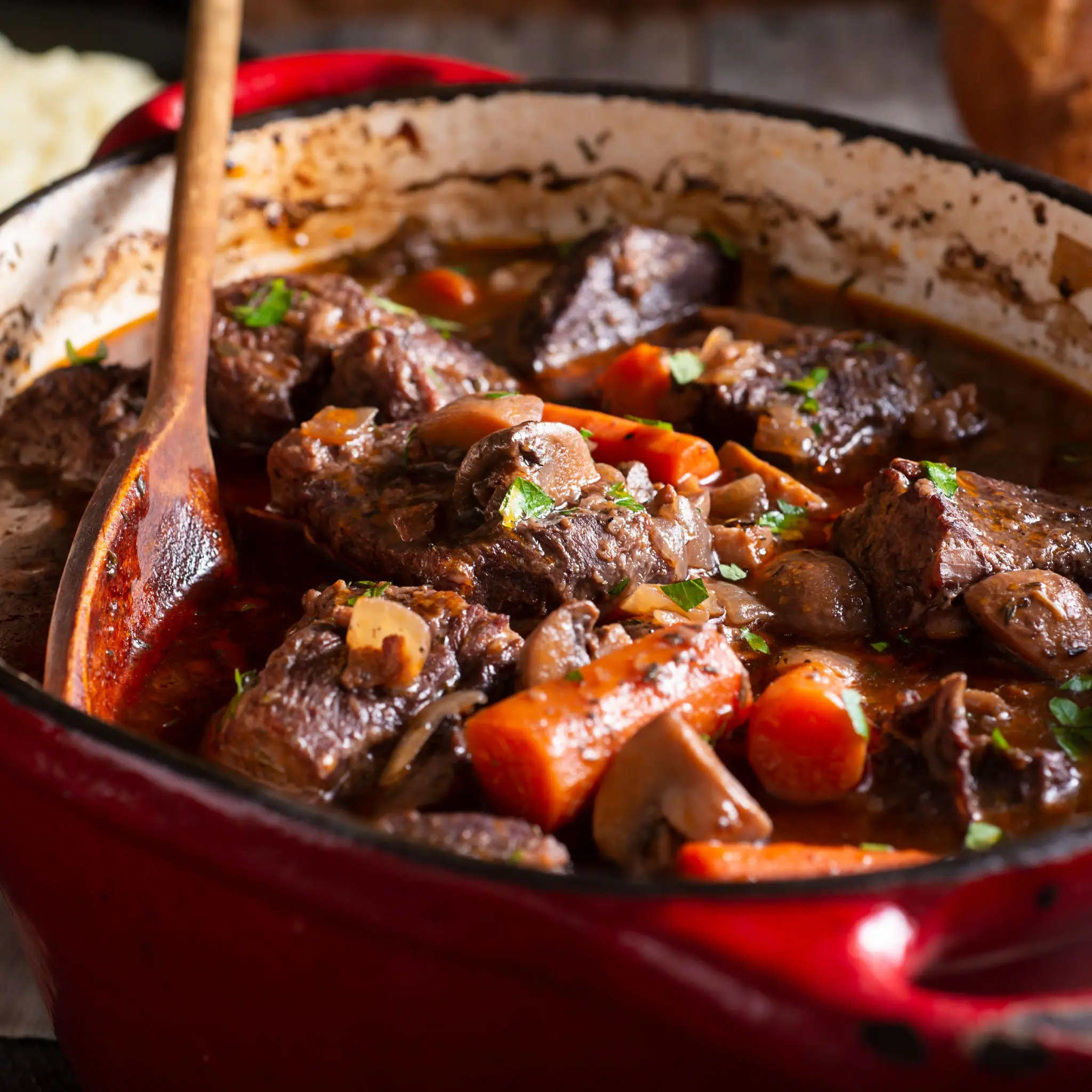 Bison Stew - Image 2