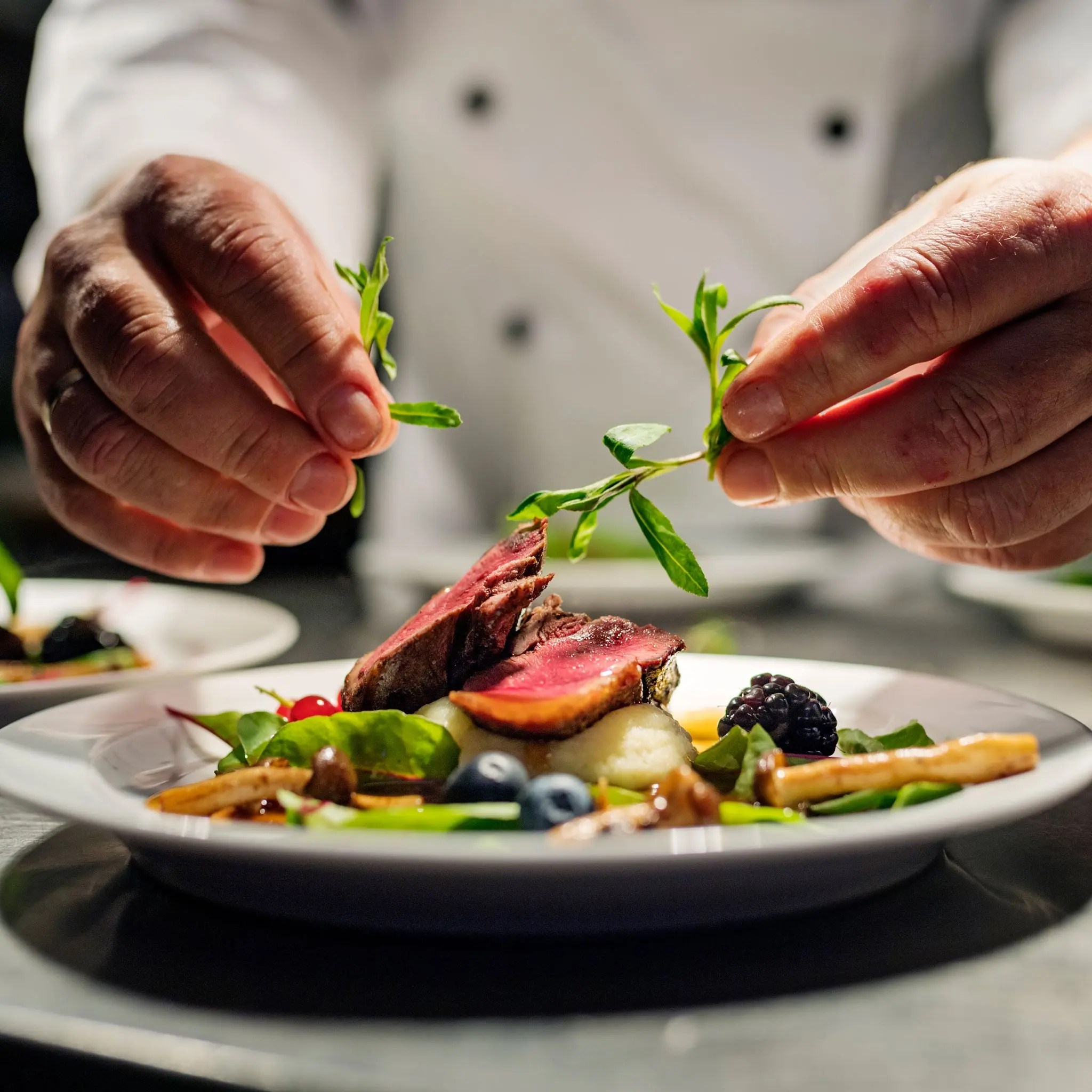 Duck Breast - Image 6
