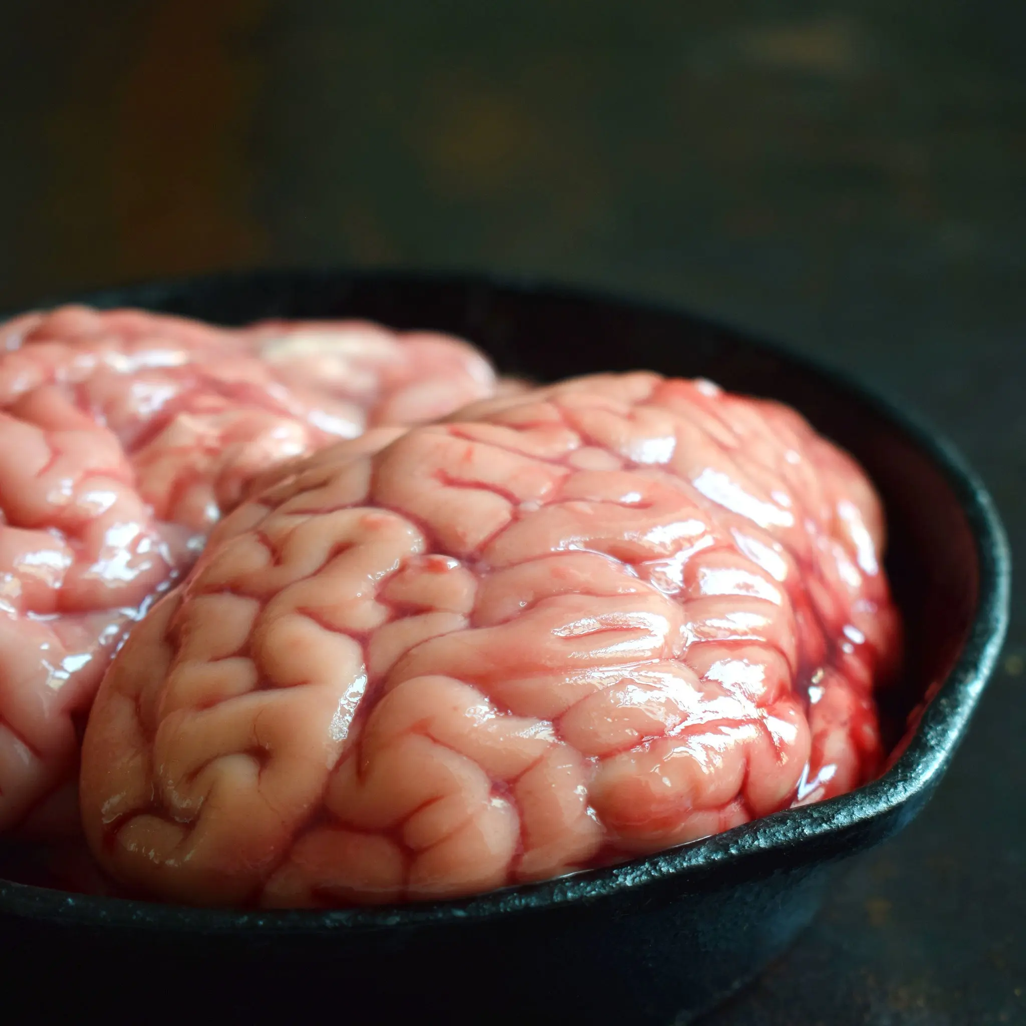 Pig Brain - Image 2