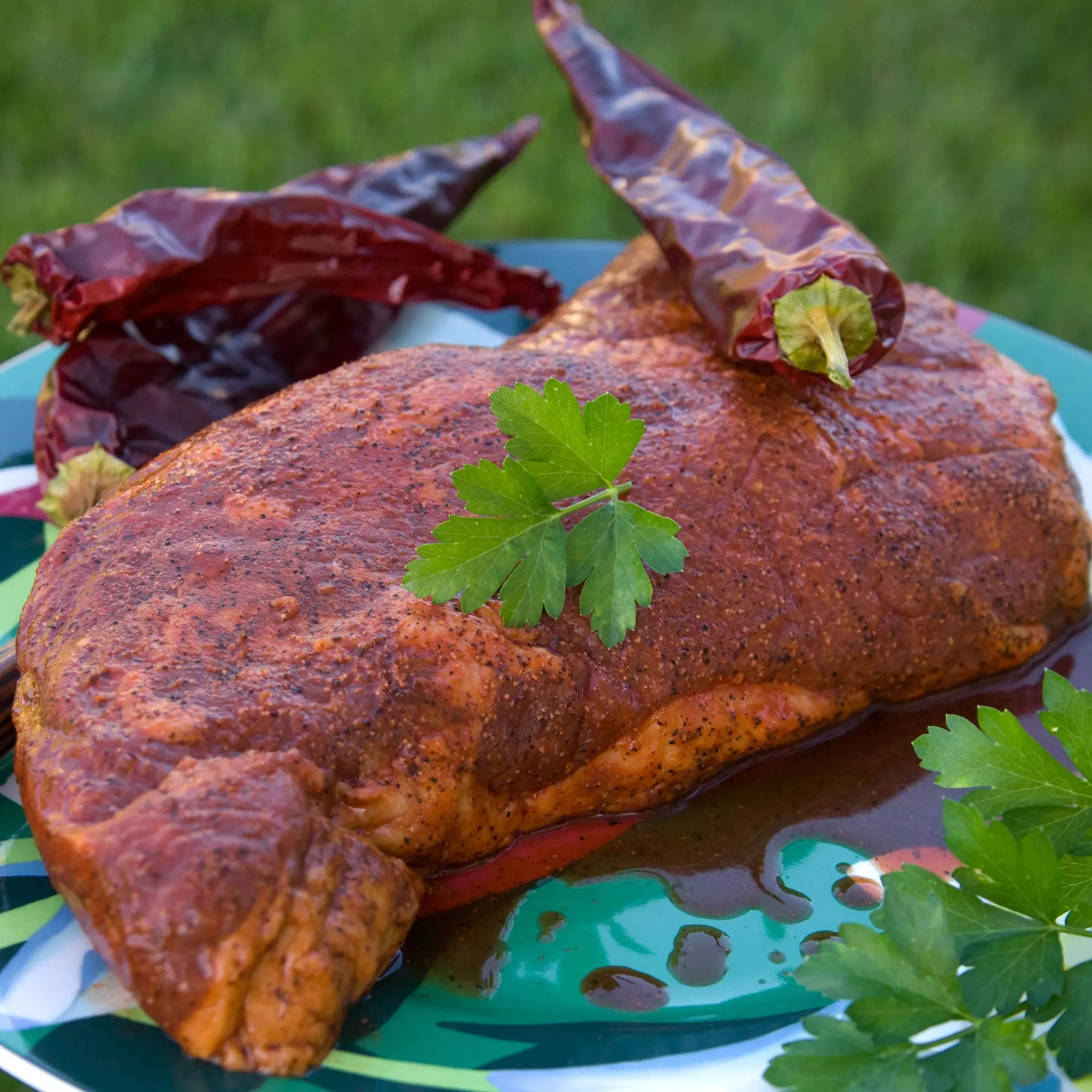 USDA Prime Tri-Tip / Bottom Sirloin - Image 4