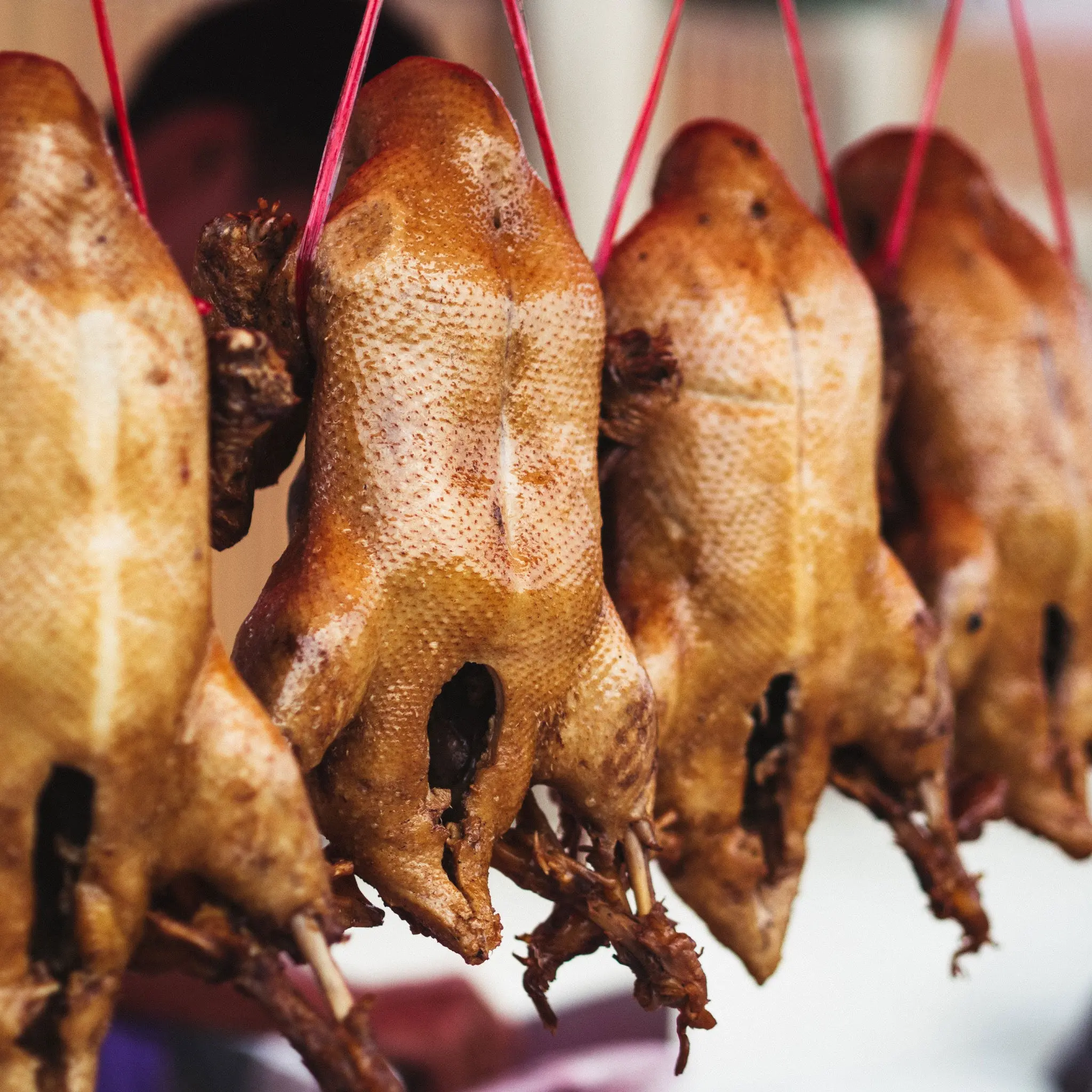 Whole Duck - Image 4