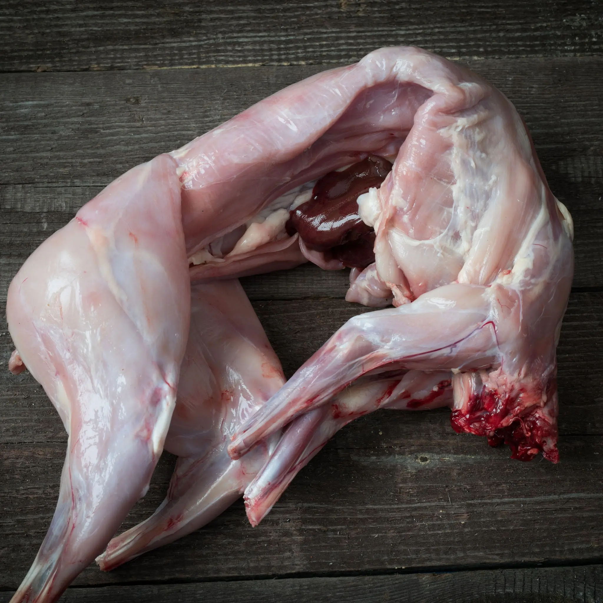 Whole Rabbit - Image 3